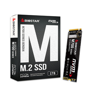 BIOSTAR 映泰 M700 NVMe M.2 固态硬盘 1TB（PCI-E3.0）