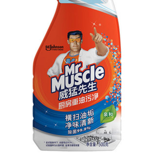 Mr Muscle 威猛先生 厨房重油污净 500g