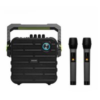 PHILIPS飞利浦双麦无线克风广场舞音箱K歌户外音箱蓝牙便携式拉杆音响