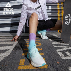 PEAK 匹克 态极3.0 E11617H 情侣款缓震跑鞋