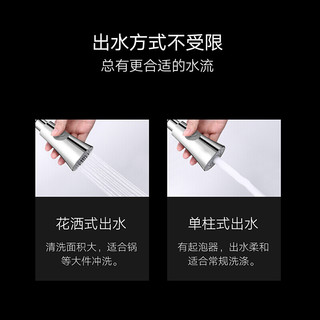 悍高（HIGOLD）厨房水龙头不锈钢洗菜盆冷热水龙头可旋转水槽龙头抽拉龙头直饮水龙头净水龙头 经典拉丝款