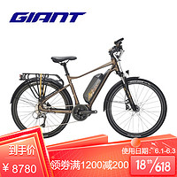 Giant捷安特Expedition E+智能助力旅行电动山地自行车 丘陵褐 26X400 (S)建议身高155-170cm