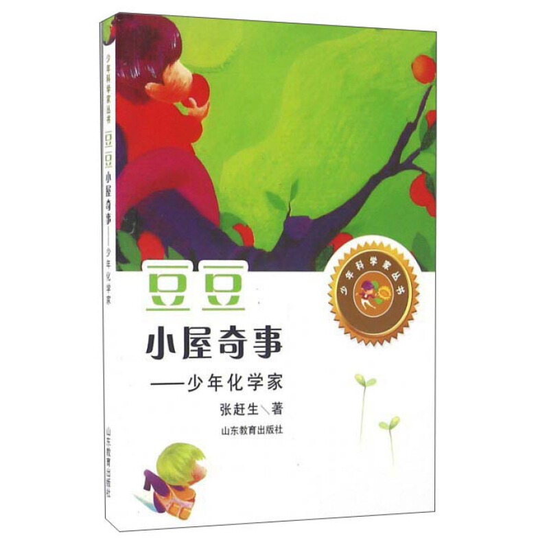 《少年科学家丛书·豆豆小屋奇事：少年化学家》