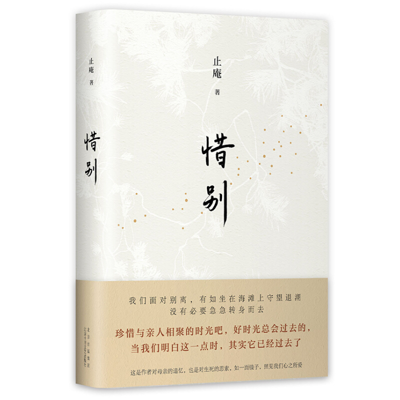 止庵：惜别