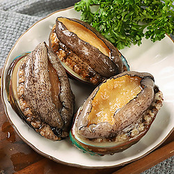 鲜味时刻 生鲜海鲜 福建大鲍鱼500g/06-08头鲜活冷冻 火锅食材贝类