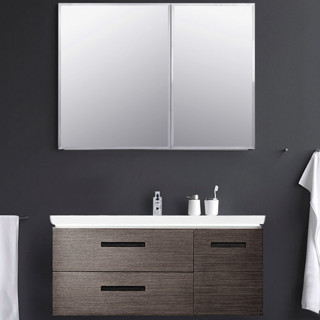 KOHLER 科勒 依洛诗系列 K-15039T-NA 浴室镜柜 890mm
