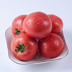 古寨山 海阳普罗旺斯西红柿 4.5斤