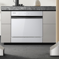 toshiba东芝dwt5w1021嵌入式洗碗机10套极地白