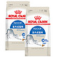 88VIP：ROYAL CANIN 皇家 猫粮I27室内成猫猫粮2kg英短蓝猫美短布偶全价猫粮官方正品