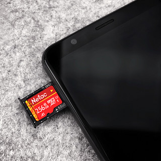 Netac 朗科 P500 华彩国风版 MIcro-SD存储卡 256GB（UHS-I、U1、A1）