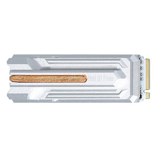 影驰 GALAX 名人堂 HOF PRO NVMe M.2 固态硬盘 1TB（PCI-E4.0）