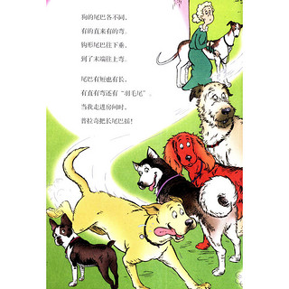 《戴帽子的猫科普图书馆·假如我来举办狗狗秀：狗的故事》