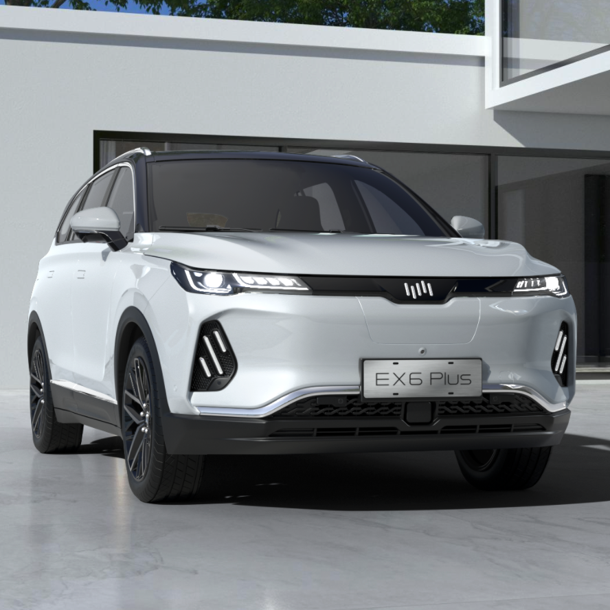 weltmeisster 威马汽车 ex6 20款 plus 500极地版 5座