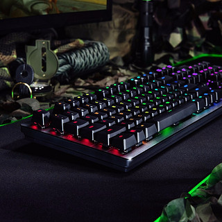 RAZER 雷蛇 猎魂光蛛幻彩版 104键 有线机械键盘 黑色 雷蛇红轴（线性光轴） RGB