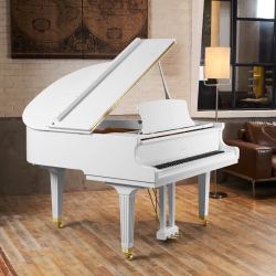 pearlriver珠江钢琴全新德国工艺三角钢琴里特米勒品牌三角琴白色j8