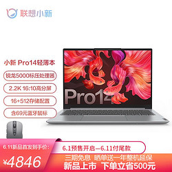 Lenovo 联想 小新Pro14 标压锐龙版 高性能全面屏轻薄笔记本电脑 R5-5600H 16G 512G 2.2K屏
