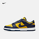  NIKE 耐克 DUNK LOW RETRO DD1391 男子运动鞋　