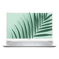 DELL 戴尔 灵越 5498 14.0英寸 轻薄本 银色(酷睿i5-10210U、MX250、8GB、512GB SSD、1080P、IPS、60Hz、R1625S)