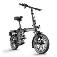 GDANNY D9 尊享版 电动自行车 TDT090Z 48V8Ah石墨烯锂电池 黑色