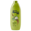 Rejoice 飘柔 家庭护理系列绿茶长效清爽去油洗发露 400ml