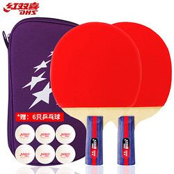 DHS 红双喜 二星级直拍乒乓球拍套装T2006对拍附球包 乒乓球