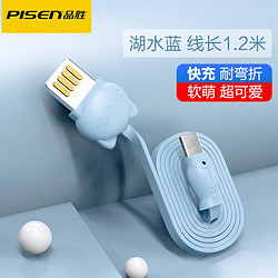 PISEN 品胜 Type-C 数据线 1.2米