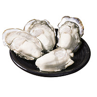 乳山生蚝鲜活10斤装 一箱5斤新鲜大牡蛎带壳海蛎子即食海鲜水产品