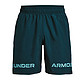 UNDER ARMOUR 安德玛 Graphic Wordmark 1361433 男子运动短裤