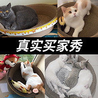 pvy pvy 猫抓板碗形猫窝猫磨抓板窝磨爪器瓦楞纸碗形耐磨猫爪盆猫玩具大号