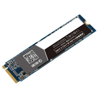 GALAXY 影驰 黑将 Pro NVMe M.2 固态硬盘 250GB (PCI-E3.0)