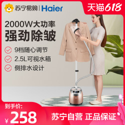 Haier 海尔 挂烫机手持家用蒸汽熨斗小型熨烫机熨烫衣服服装店商用2510B