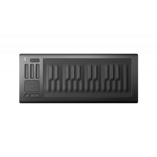 ROLI RISE 25键49键61键 电音键盘 五维MIDI键盘控制器嘉谣定制款 ROLI ROLI GRAND STAGE +琴架