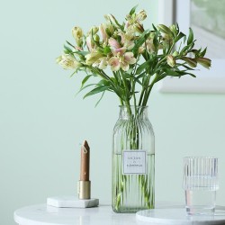FlowerPlus 花加 六出花 水仙百合 10枝