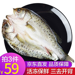 三去深海鲈鱼 约重360-480g/条开背去鳃去鳞去内脏净鱼 生鲜 鱼类 海鲜水产