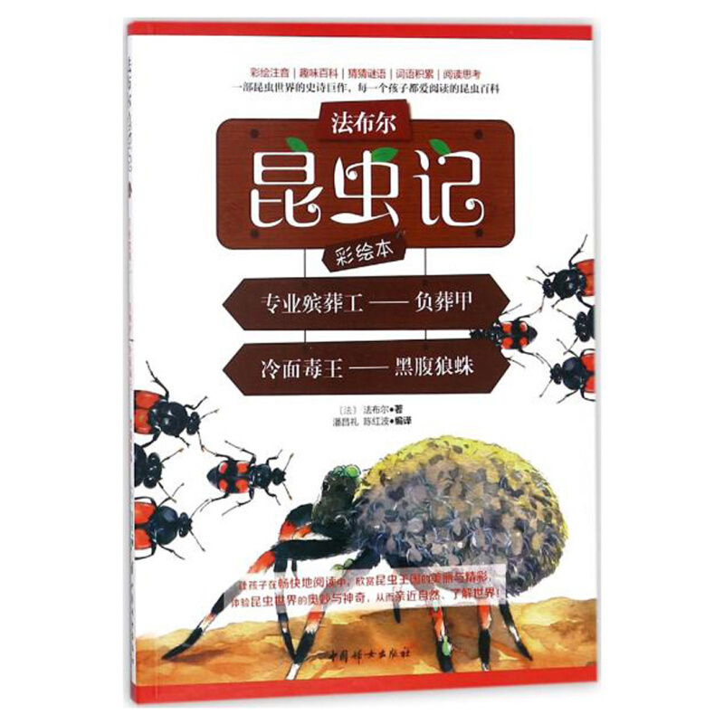 《法布尔昆虫记·专业殡葬工：负葬甲 甲冷面毒王：黑腹狼蛛》