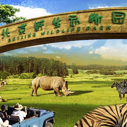 北京野生动物园成人票