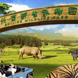 北京野生动物园成人票