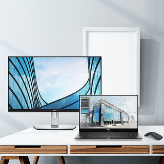 DELL 戴尔 S2319H 23英寸 IPS 显示器(1920×1080、60Hz、72%NTSC）