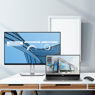 DELL 戴尔 S2419H 23.8英寸 IPS 显示器(1920×1080、60Hz、99%sRGB）