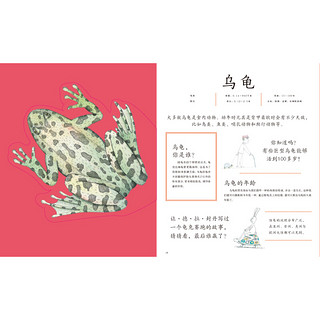 《动物骨大发现》（精装）