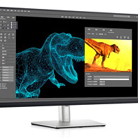 DELL 戴尔 P3221D 31.5英寸 IPS 显示器（2560×1440、60Hz、99%sRGB、Type-C 65W）