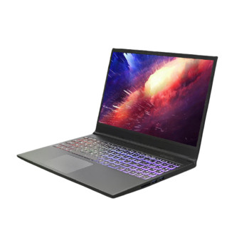 Hasee 神舟 战神 Z7-CT5VH 15.6英寸 游戏本 黑色（酷睿i5-9300H、GTX 1660Ti 6G、8GB、256GB SSD+1TB HDD、1080P、IPS、60Hz）