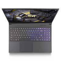 Hasee 神舟 战神 Z7-CT7VA 15.6英寸 游戏本 黑色（酷睿i7-9750H、GTX 1660Ti 6G、8GB、512GB SSD、1080P、IPS）