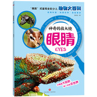 《神奇的放大镜·眼睛》