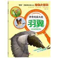 《神奇的放大镜·羽翼》