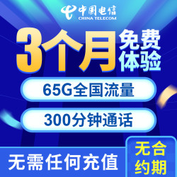 CHINA TELECOM 中国电信 体验卡 65G全国流量+300分钟通话