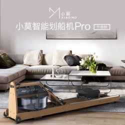 小莫 小米有品众筹款 M0 Pro 智能划船机