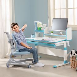 totguard 护童 儿童学习桌儿童书桌写字桌椅可升降小学生家用学生课