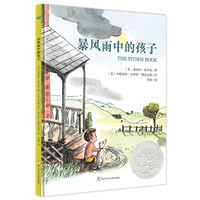 《暴风雨中的孩子》（精装）