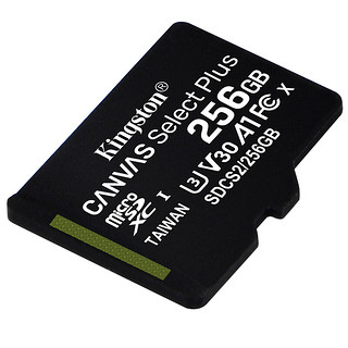 Kingston 金士顿 SDCS2系列 Micro-SD存储卡 256GB（UHS-I、V30、U3、A1）